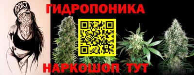 спайс Новодвинск