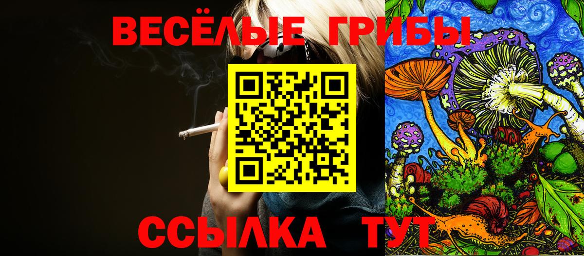 Галлюциногенные грибы мухоморы  Галлюциногенные грибы ЛСД  Вход с VPN  Сорочинск 